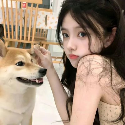 剧集连播