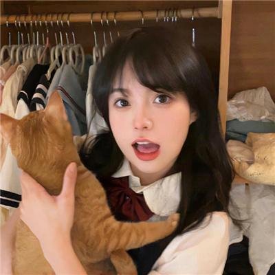 兔仙王妃